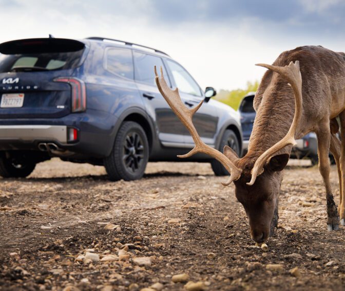 Kia-Telluride-Landing-Exterior (7)